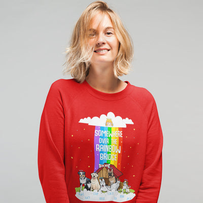 Rainbow Themed Sweatshirt For Dog Lovers