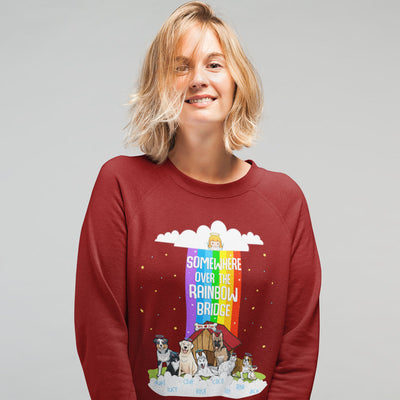 Rainbow Themed Sweatshirt For Dog Lovers