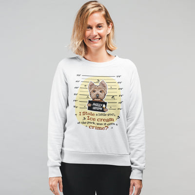 I Stole A Little Girls Ice Cream... Customized Sweatshirt For Dog Lovers