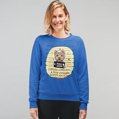 I Stole A Little Girls Ice Cream... Customized Sweatshirt For Dog Lovers