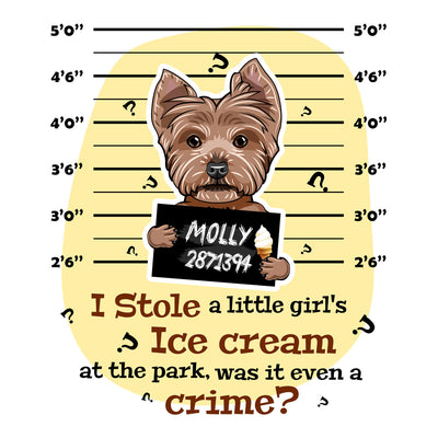 I Stole A Little Girls Ice Cream? Customized Pillow Cover For Dog  Lover