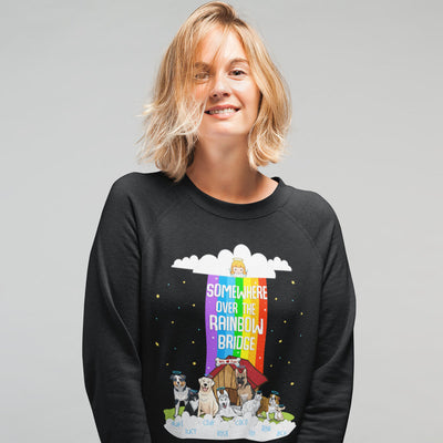 Rainbow Themed Sweatshirt For Dog Lovers